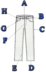 Folders for Blue Jeans